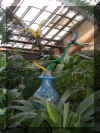 ChihulyGarfieldP1-P1010030.JPG (361332 bytes)