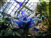 ChihulyGarfieldP1-P1010032.JPG (1050105 bytes)
