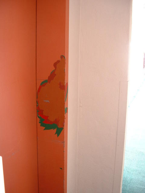 DSCF0017