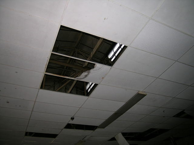 DSCN1281.JPG