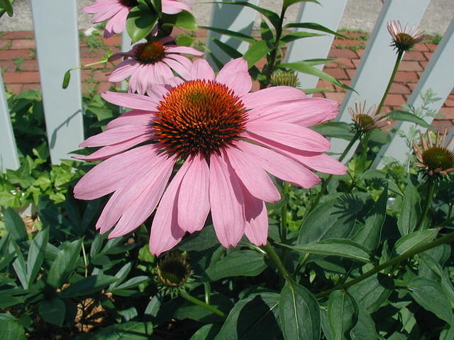 P7120036