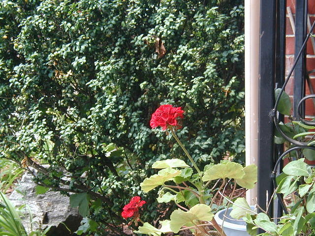 P7120045