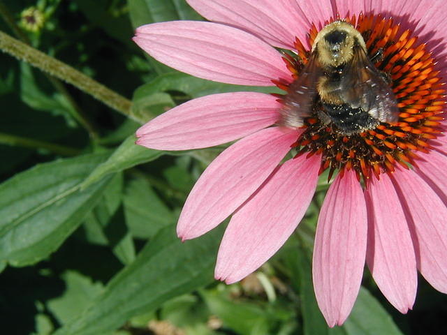 P7250061