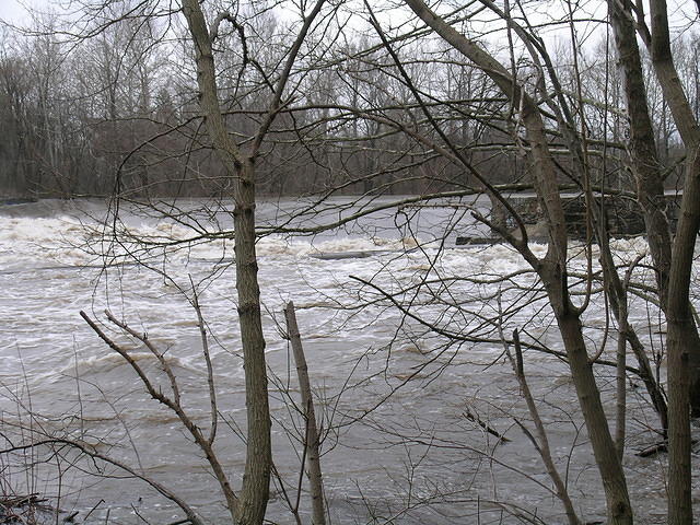 DSCN0337