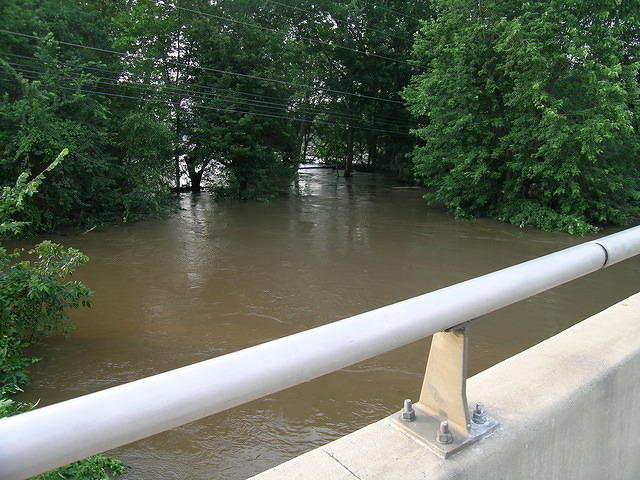 DSCN0935