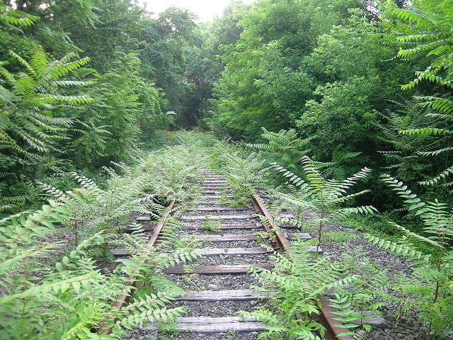 DSCN0946