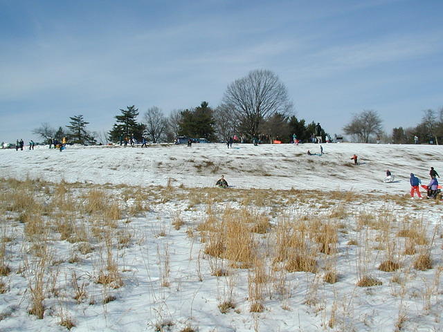 ValleyForge P1010075