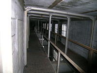 DSCN1303.JPG